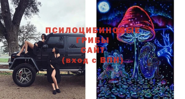 стаф Баксан