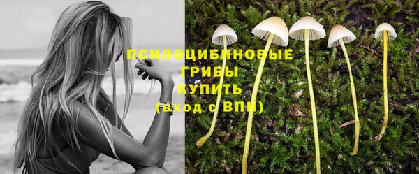 круглые Михайловск