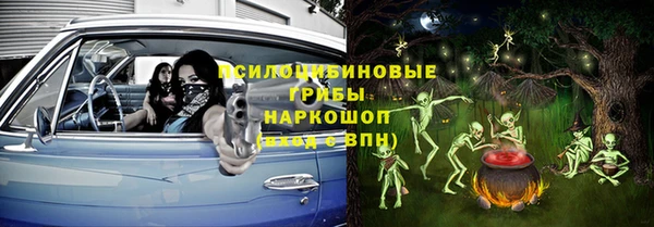 гидра Балахна