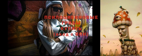 гидра Балахна
