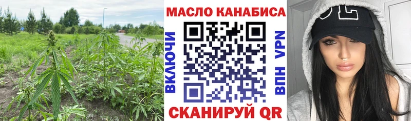 купить наркотики сайты  mega вход  Дистиллят ТГК Wax  Всеволожск 