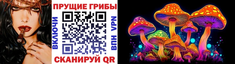 Галлюциногенные грибы MAGIC MUSHROOMS  продажа наркотиков  Всеволожск 